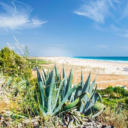 Cozy In * Conil De La Frontera